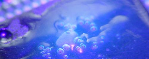 Tips voor de selectie en het toepassen van thermisch geleidende materialen